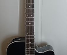 Takamine 12 String GD38CE