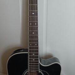 Takamine 12 String GD38CE