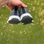 Nike Running Shoes Image 3
