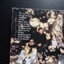 Hothouse Flowers - Into Your Heart CD Image 2