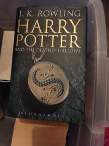 Harry Potter and the Deathly Hallows (238)