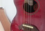 Crafter mandolin