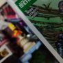 Damage ! Issue #4 ! Posion Ivy Cover ! 2018 ! by DC Comics ! Image 7