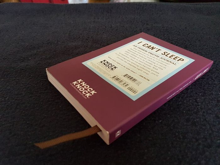 "I Can't Sleep" Journal