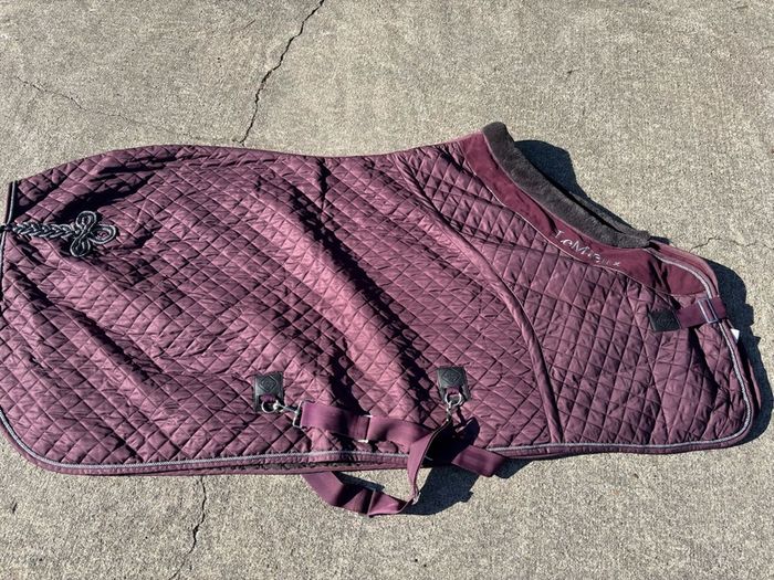 horse rug