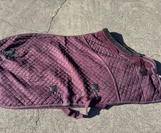 horse rug