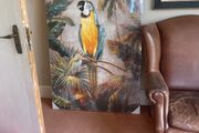 Large print of parrot 59.5" x 39.5"