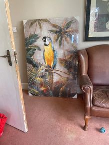 Large print of parrot 59.5" x 39.5"
