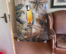 Large print of parrot 59.5" x 39.5"