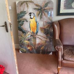 Large print of parrot 59.5" x 39.5"