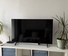 Television