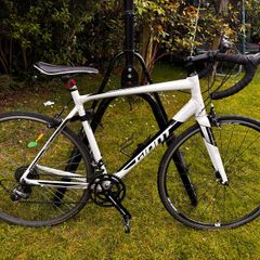Giant Contend 2 (2017)