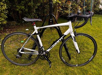 Giant Contend 2 (2017)