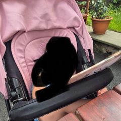 Bugaboo all black