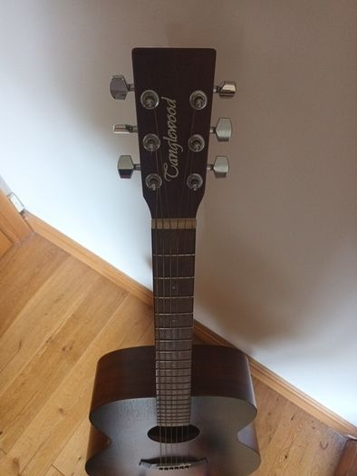 acoustic guitar