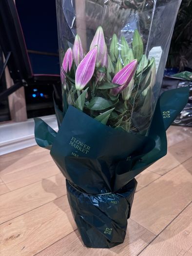 Brand New M&S Oriental Lily Bouquet (Starlight Express) - Fresh & Unopened