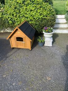 Dog Kennel for Sale