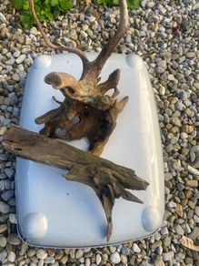 Fish tank wood