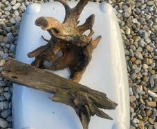 Fish tank wood