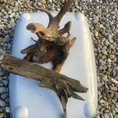 Fish tank wood