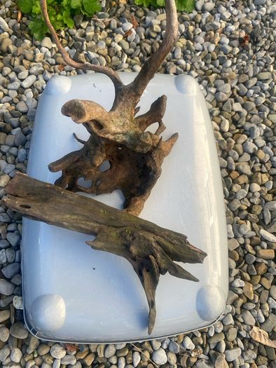 Fish tank wood
