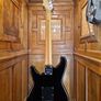 Ibanez RS110 Roadstar II 1985 Image 2