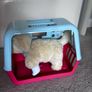 toy Image 2