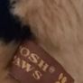 German shepherd ; plush dog (Pr 1779 ) 2 Image 3