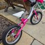 Balance Bike from Little Big Bikes Image 4