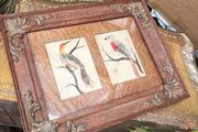 19th Century Oak Framed Feather Art