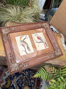 19th Century Oak Framed Feather Art