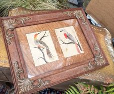 19th Century Oak Framed Feather Art