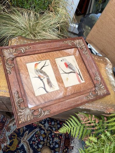 19th Century Oak Framed Feather Art