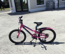 pink girls bike 20 inch