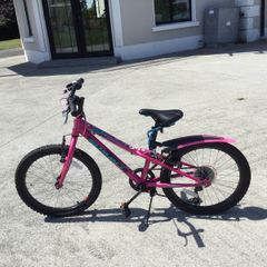 pink girls bike 20 inch