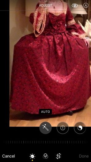 Beautiful Red/Gold Marie Antoinette Costume Dress