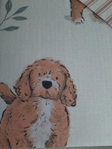 New duvet in wrapping