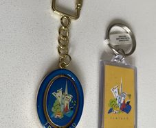 Ireland Key Chain and Keyring