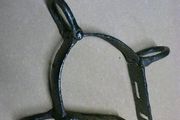 Old shackle
