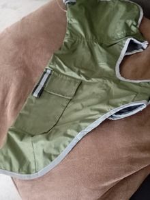 dog coat