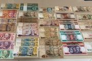 Brazil Banknotes Collection