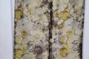 Ochre curtains