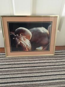 Picture framed of Flamingo