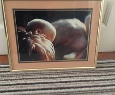 Picture framed of Flamingo