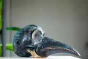 Birdhead - Patinated Bronze