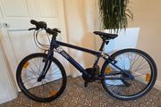 24" Raleigh Zero