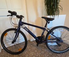 24" Raleigh Zero