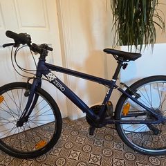 24" Raleigh Zero