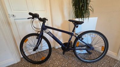 24" Raleigh Zero