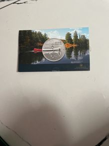 20 Dollars fine silver coin